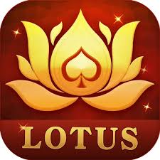 teen patti room vip download